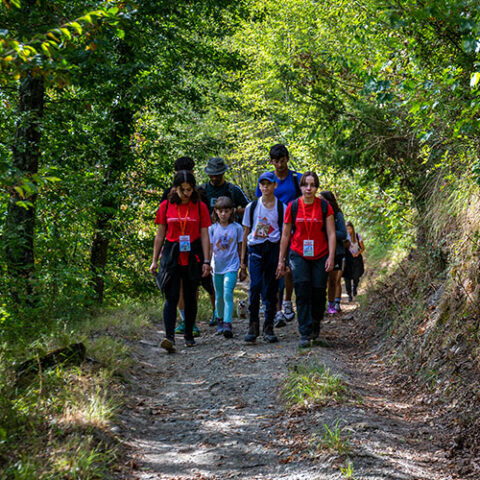 Festival Storie in cammino 2024